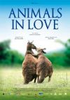 Animals in love