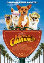 Beverly Hills Chihuahua