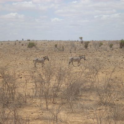 Tsavo Est