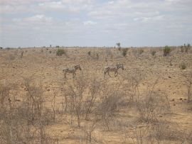 Tsavo Est
